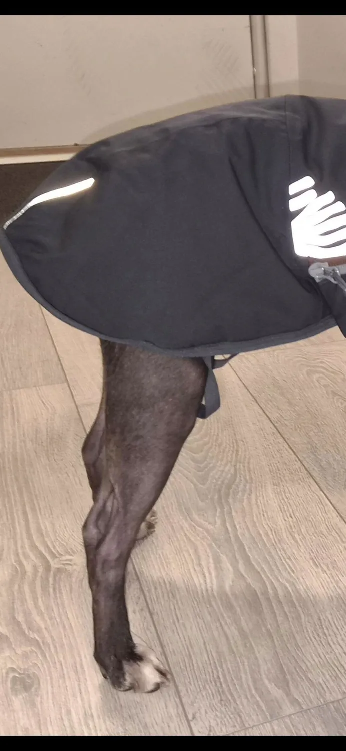 Hurtta Walk allvädersjacka hundejakke Blackberry vandtæt