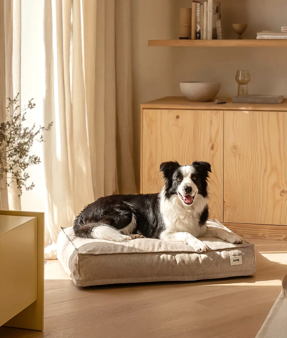 Cafide Cuadra hundeseng beige M 75x60 cm