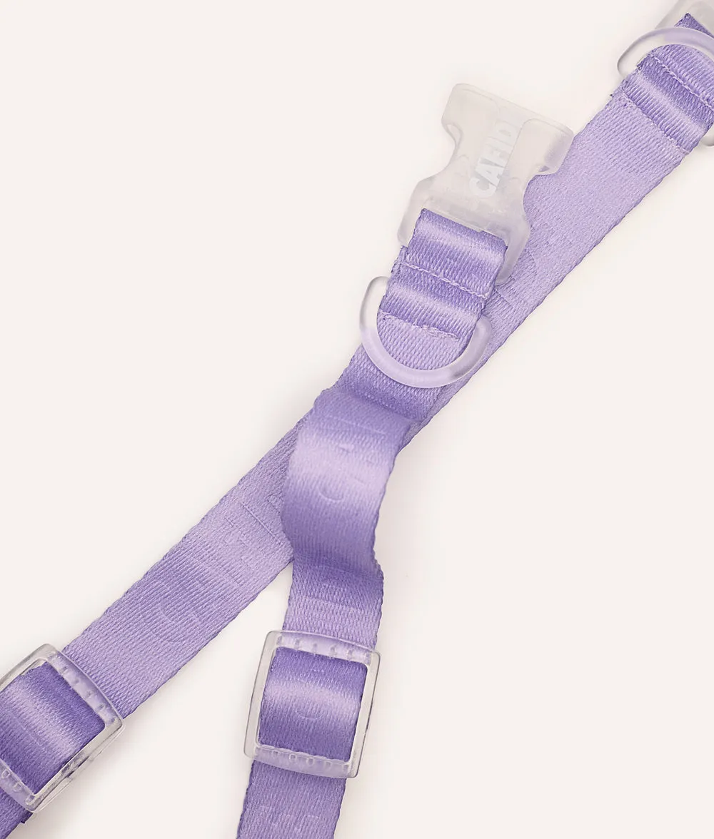 Cafide Ona hundehalsbånd violet justerbar