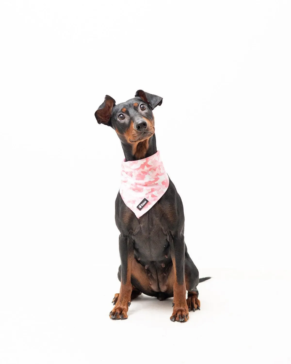 Tazz Pink Camo bandana til hund lyserød
