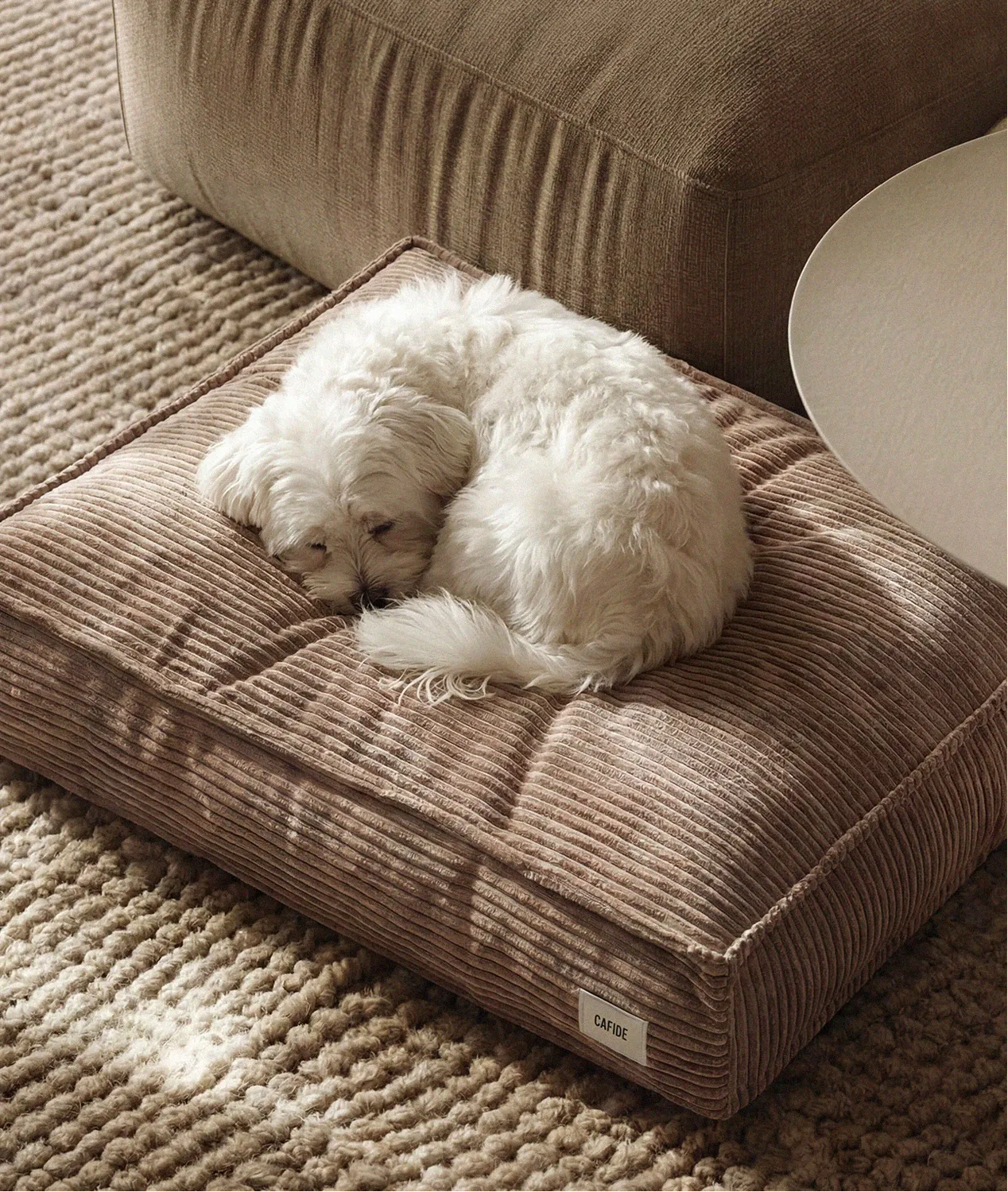 Cafide Cuadra hundeseng fløjl mocca beige