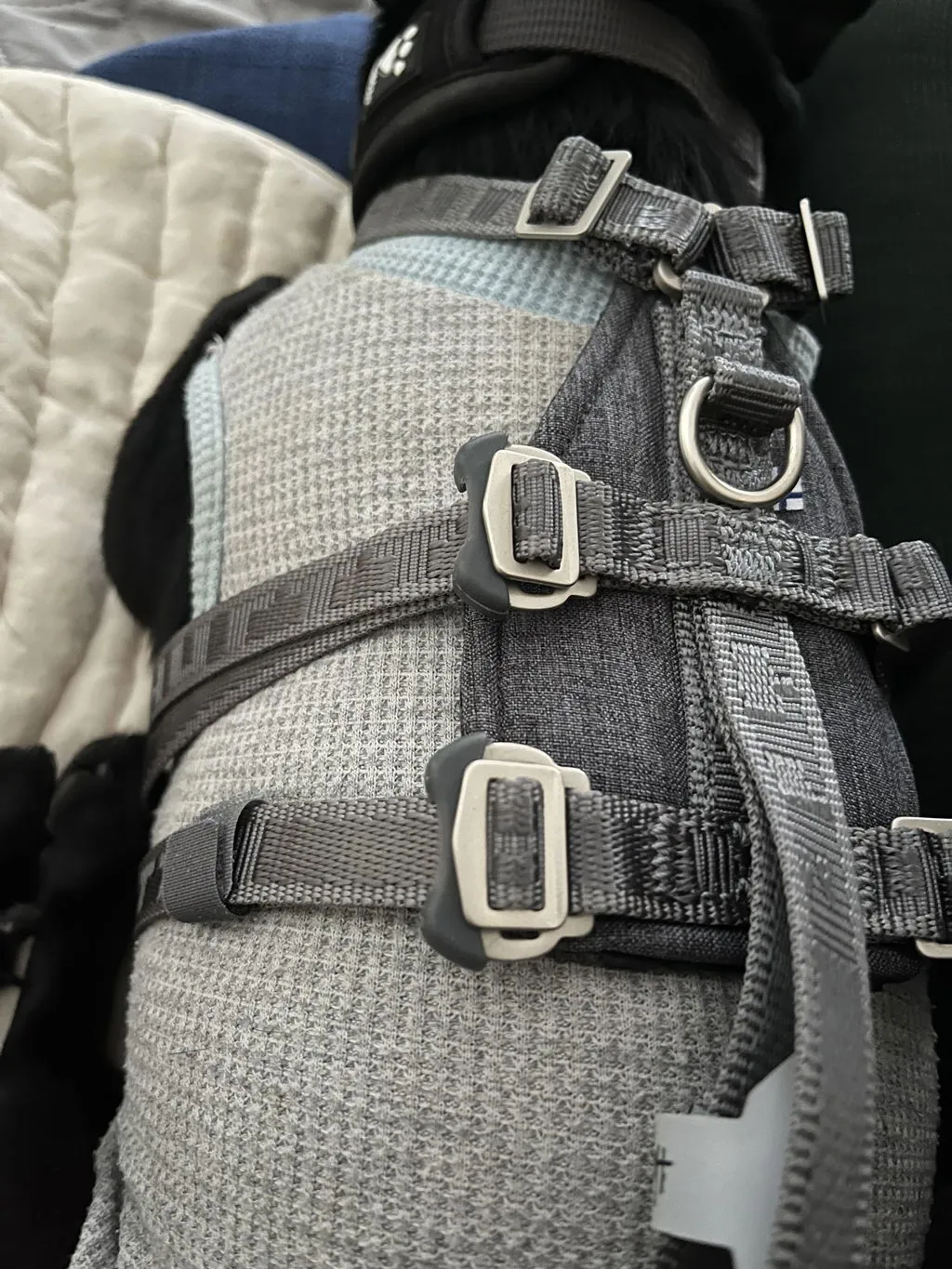Hurtta Travel hundesele Blackberry 10-20 kg crash-testet