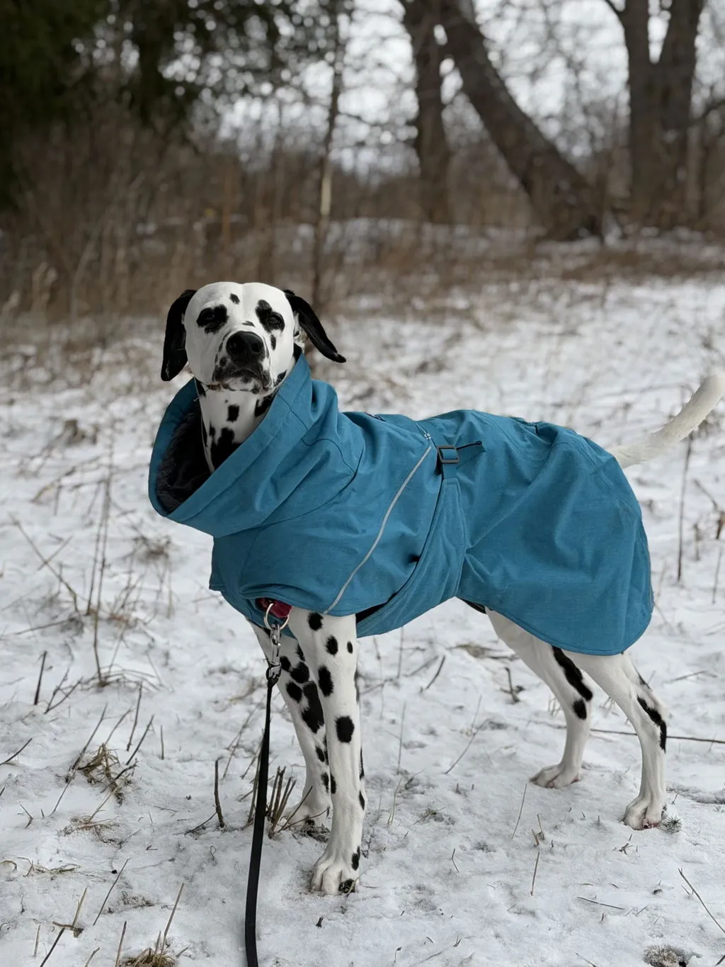 Hurtta Expedition Parka II hundejakke forest foret