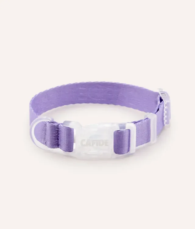 Cafide Ona hundehalsbånd violet justerbar