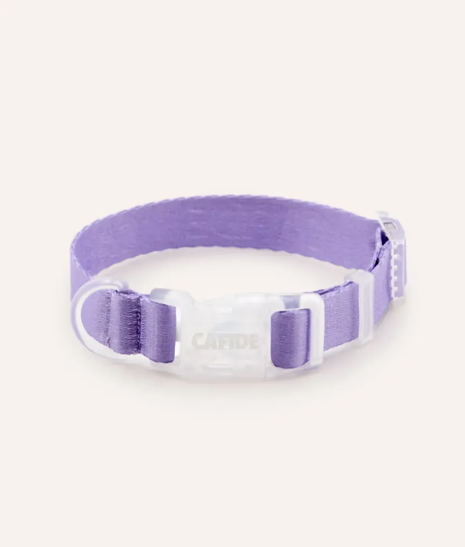 Cafide Ona hundehalsbånd violet justerbar