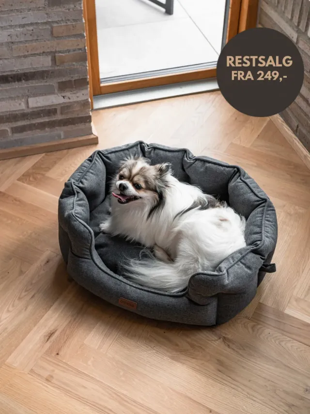 Doksie Cloud C3 rund hundeseng beroligende