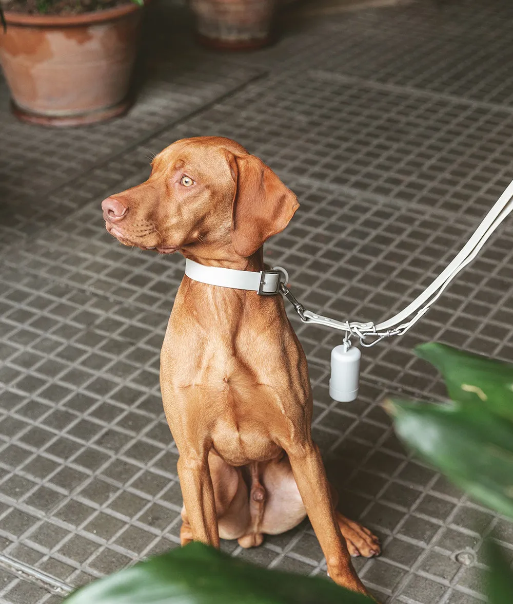 Cafide Gala hundehalsbånd beige justerbart