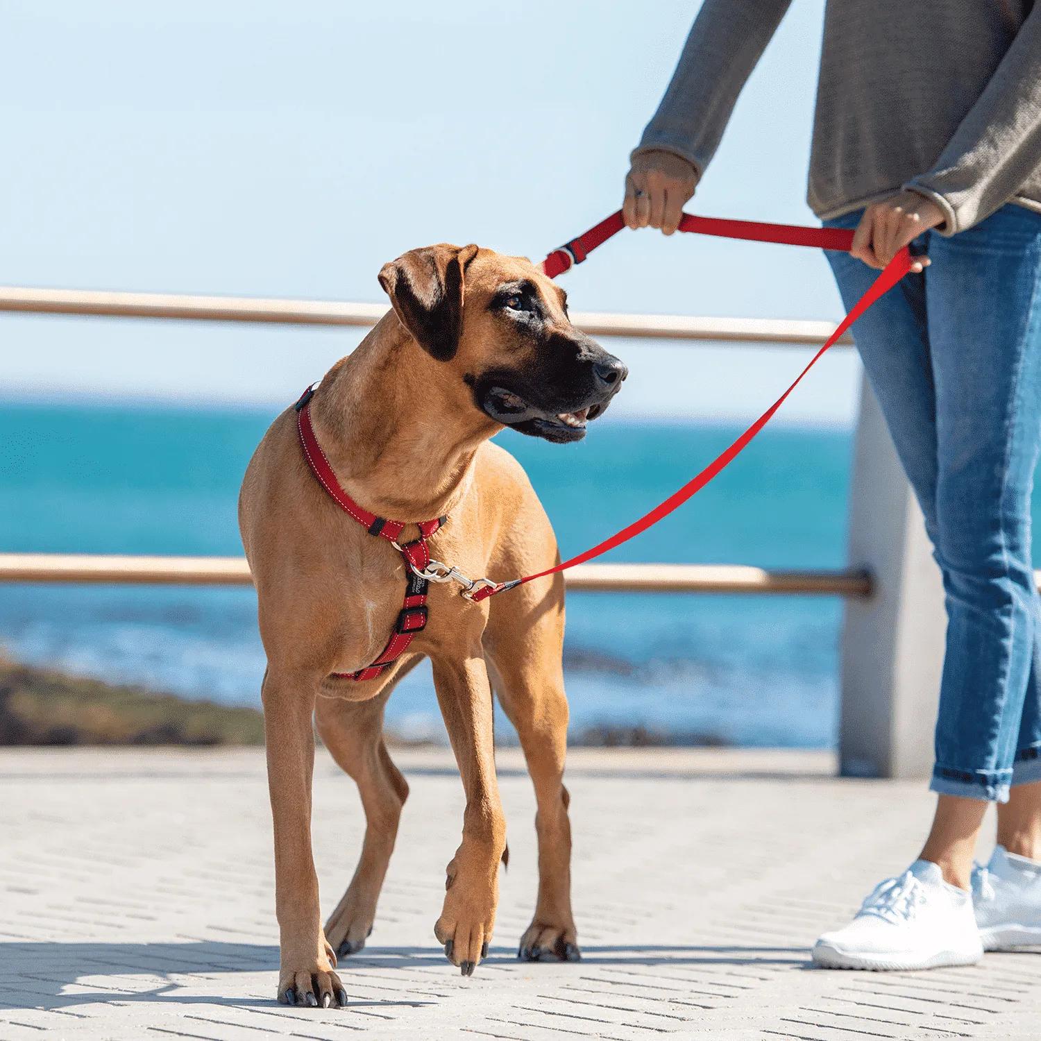 Rogz Utility Control Multi hundesnor justerbar