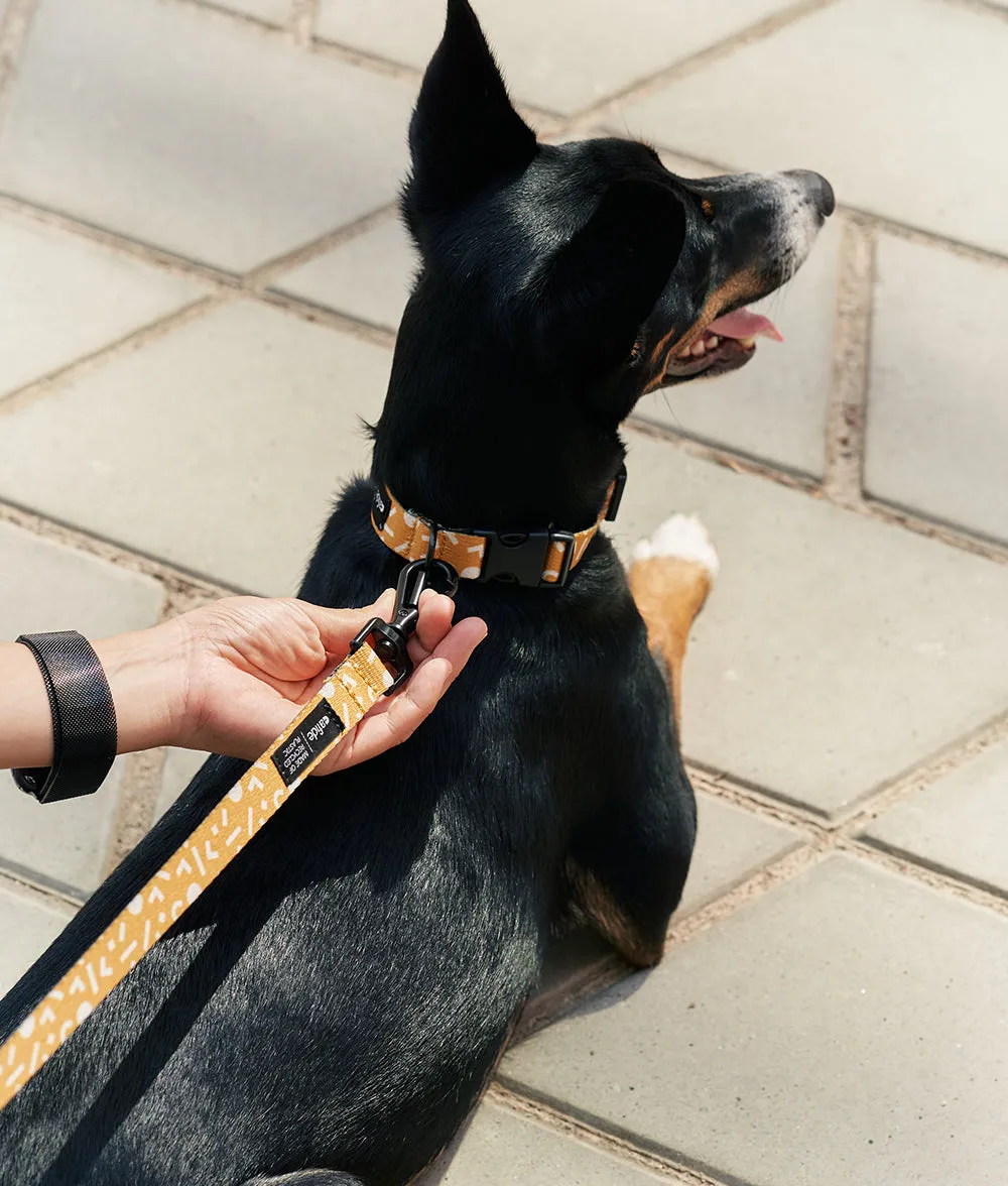 Cafide Juno Memphis hundehalsbånd sennep genbrug