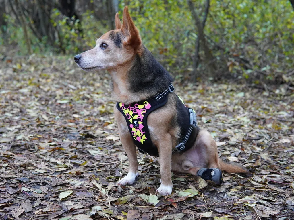Hurtta Weekend Warrior Neon Harness II hundesele Neon licorice refleks