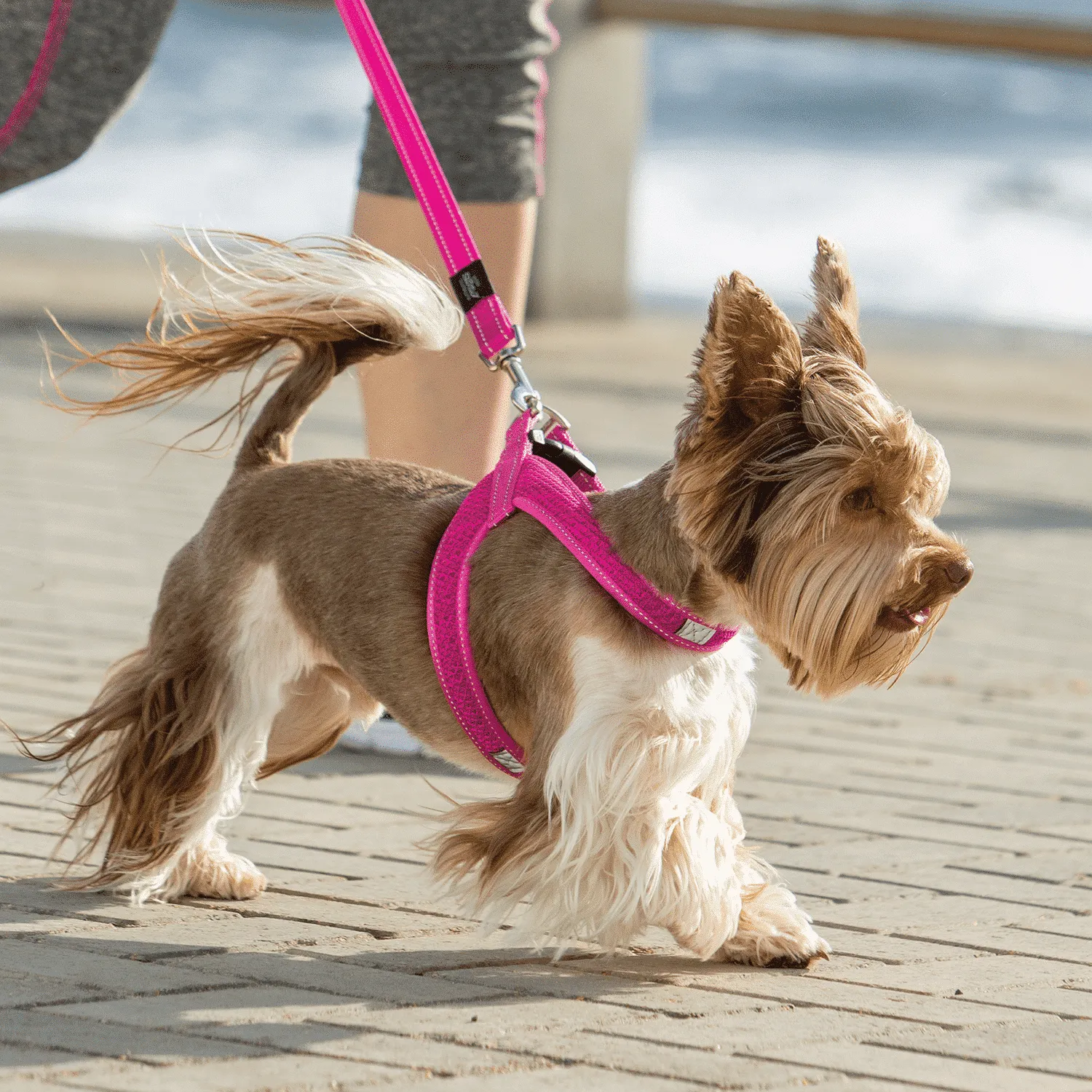 Rogz Utility Fast-Fit hundesele justerbar