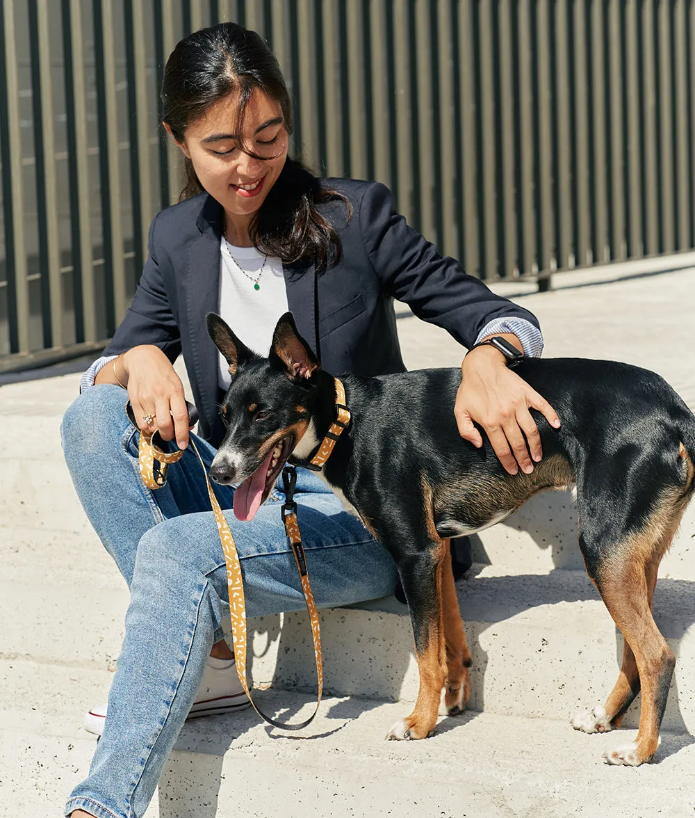 Cafide Juno Memphis Mustard hundesnor 1,2 m sennep mønster