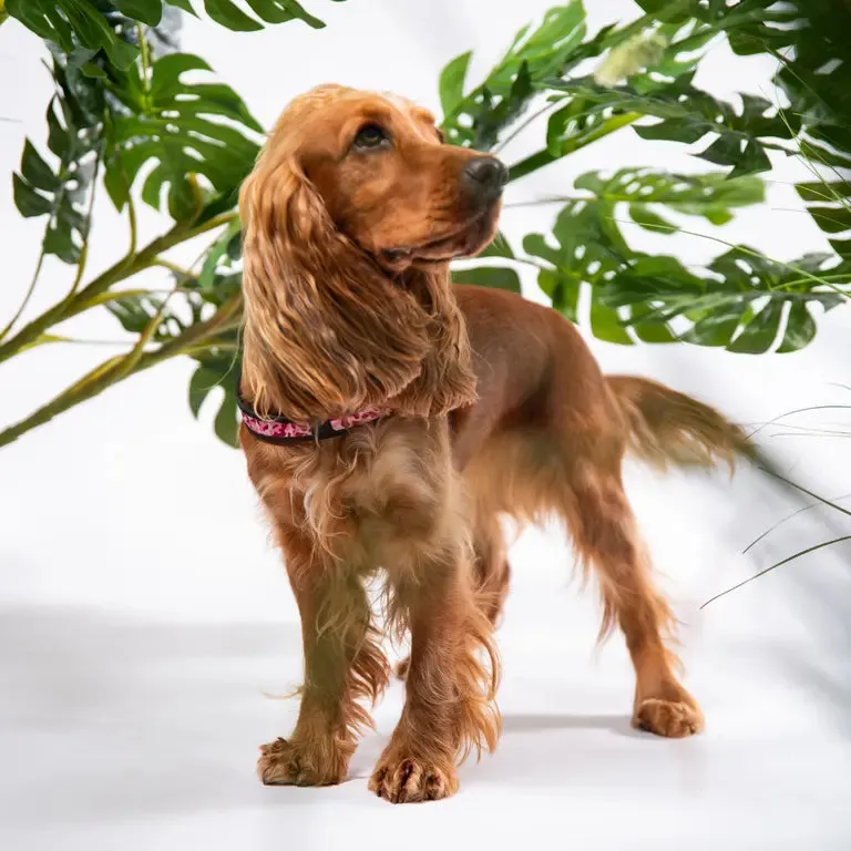 Tre Ponti Easy Fit Click Camo hundesele grøn str. 3 let
