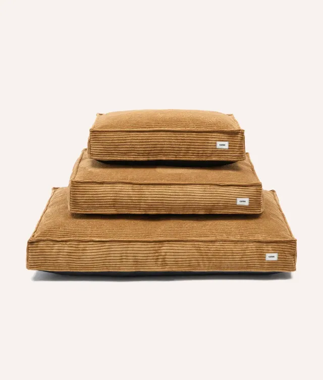 Cafide Cuadra Mustard Corduroy hundeseng sennep fløjl