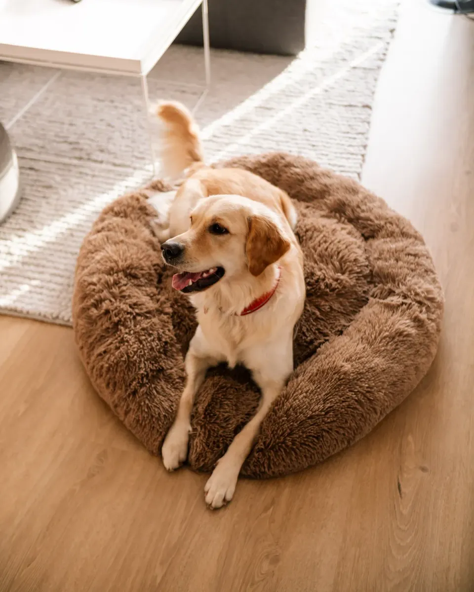 Doksie Cloud C1 donut hundeseng mørkebrun vaskbar