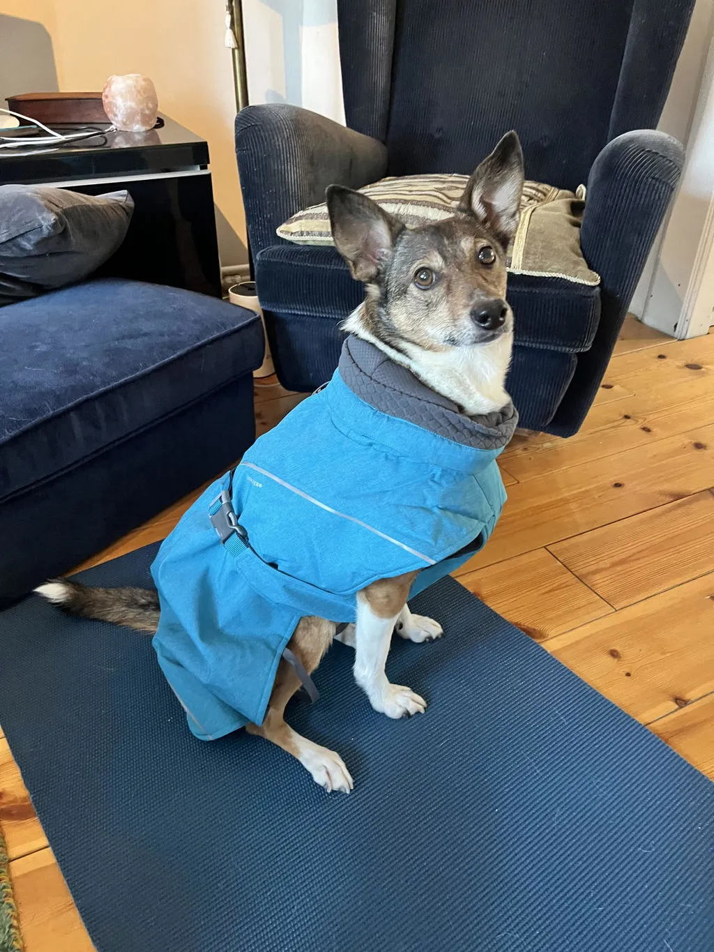 Hurtta Expedition Parka II hundejakke forest foret