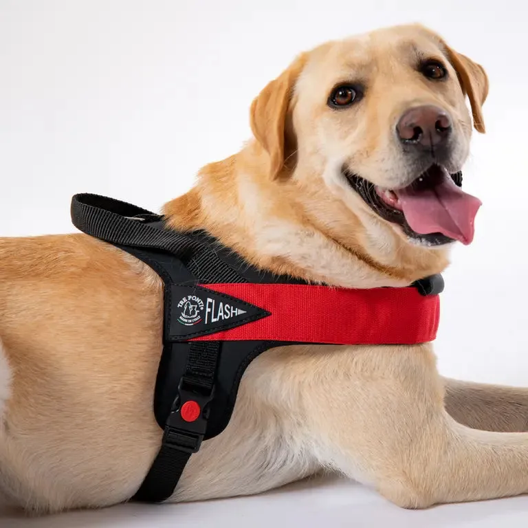 Tre Ponti Flash Velcro hundesele stor hund sort