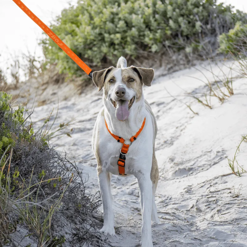 Rogz Alpinist Classic hundesele justerbar