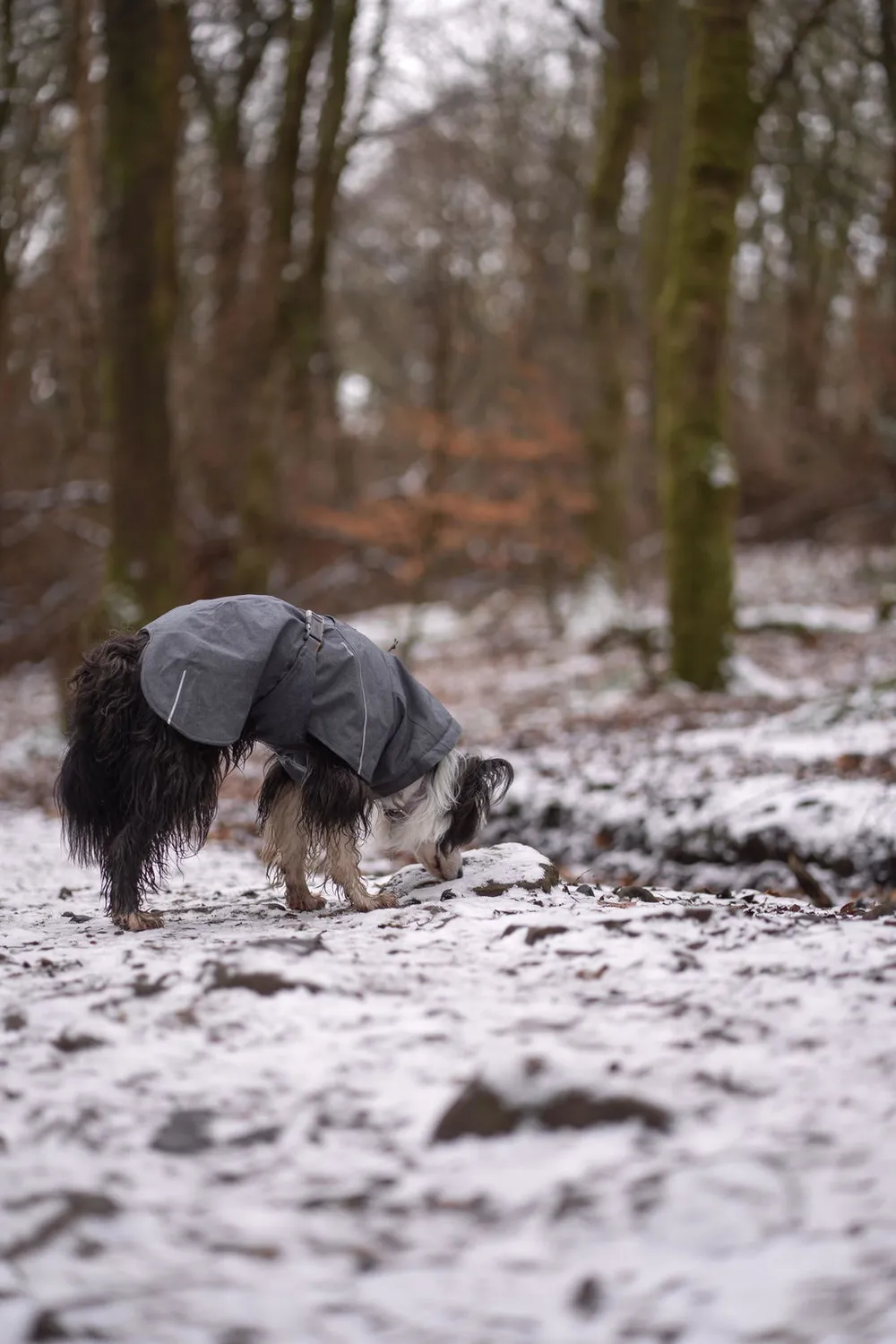 Hurtta Expedition Parka II hundejakke forest foret