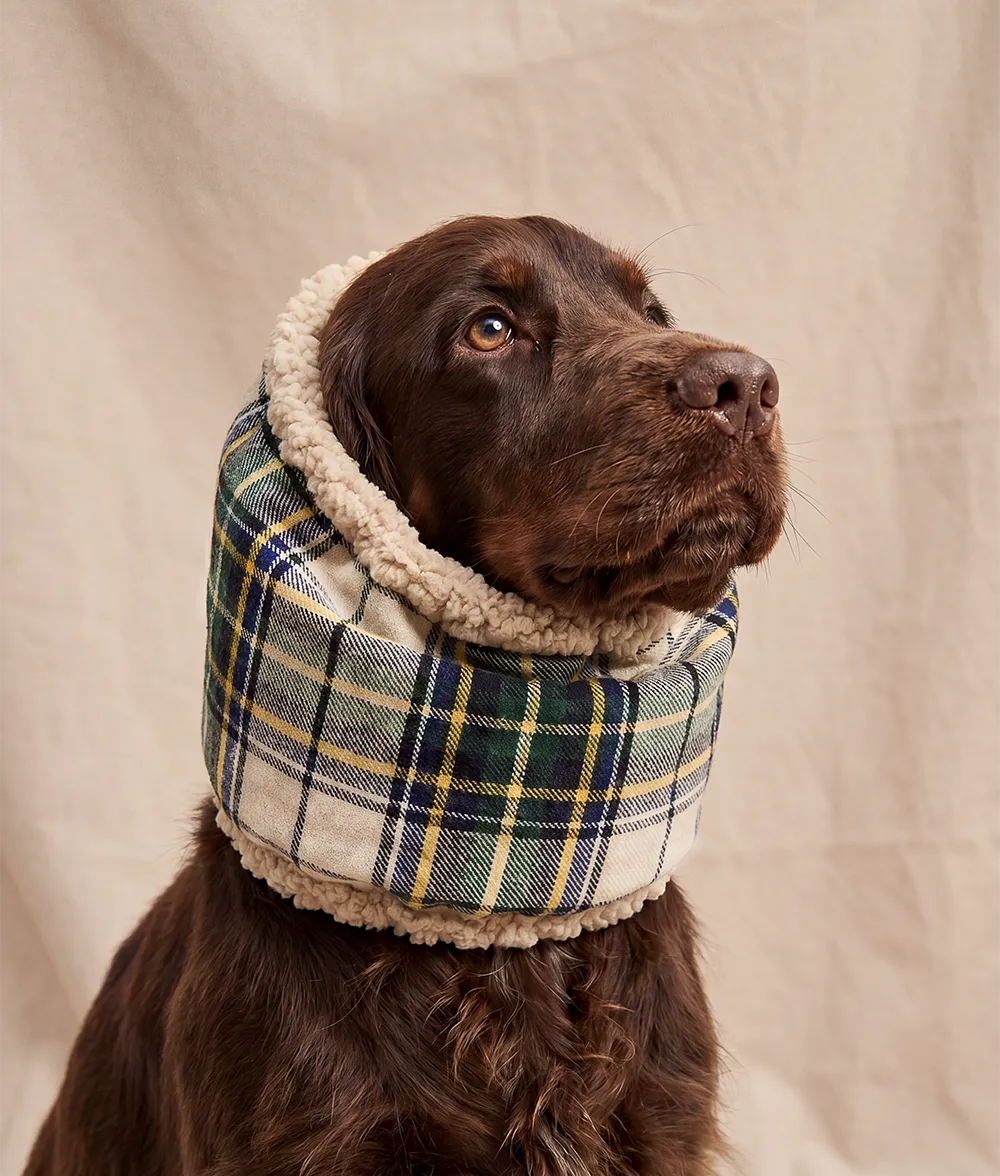 Cafide Olga hundesnood beige ternet bomuld
