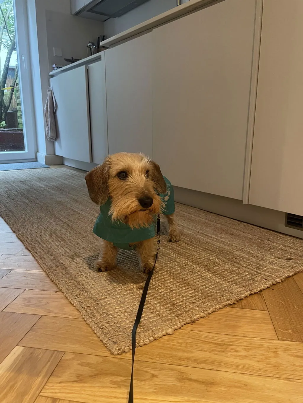 Hurtta Monsoon II regndækken hund cinnamon vandtæt