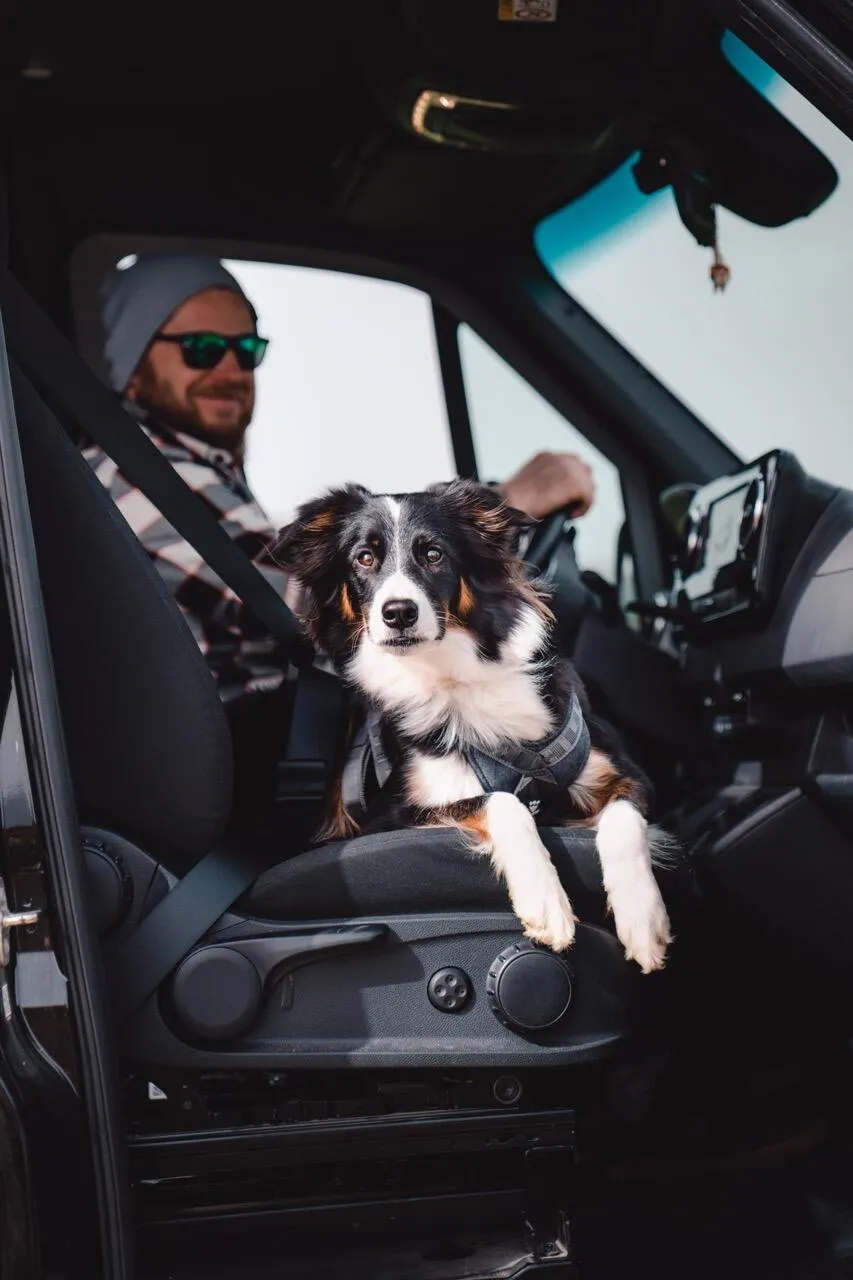 Hurtta Travel hundesele Blackberry 10-20 kg crash-testet