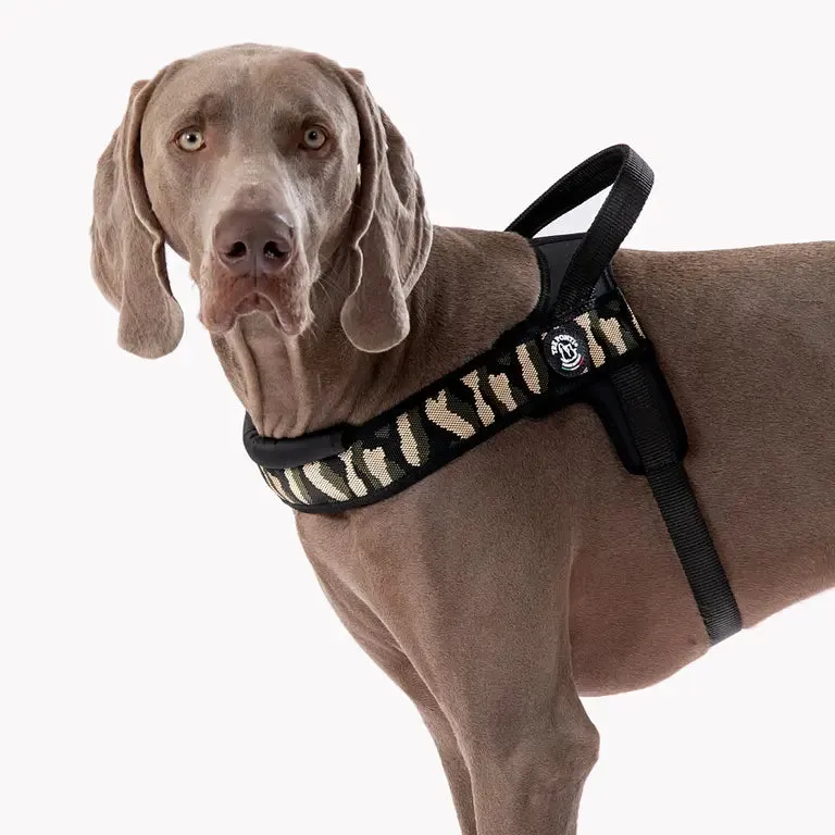 Tre Ponti Primo Plus selesæt hundesele rød M