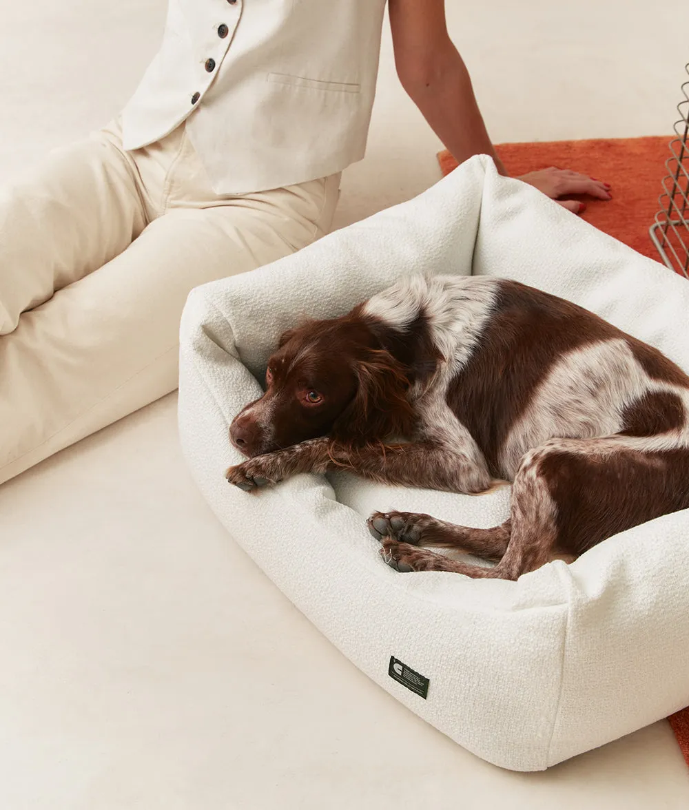 Cafide Snozy Bone White hundeseng M chenille