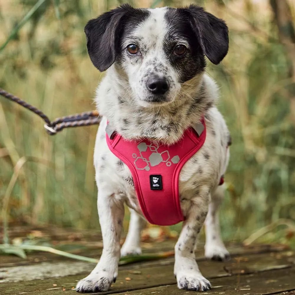 Hurtta Weekend Warrior II hundesele raven justerbar