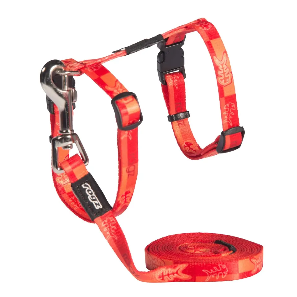 Rogz Kiddy Cat Classic kattesele med line