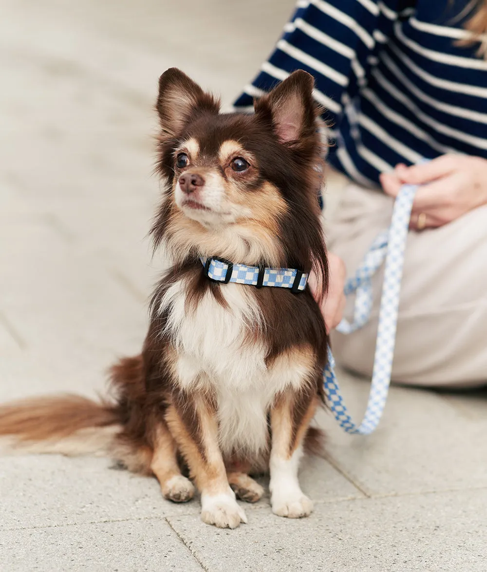 Cafide Juno Vichy Blue hundehalsbånd recycled