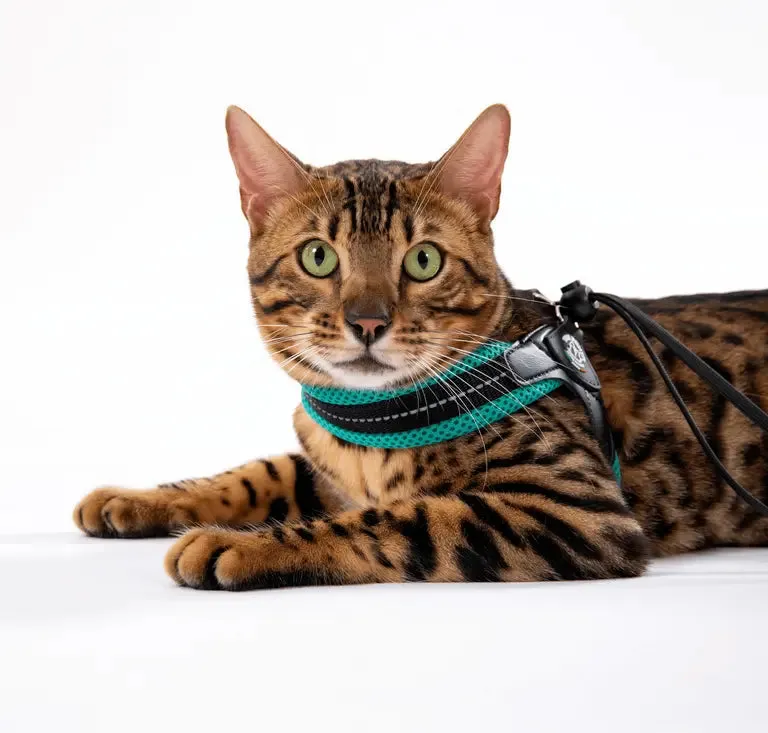 Tre Ponti Easy Fit hundesele 3-deles sæt mesh reflekterende