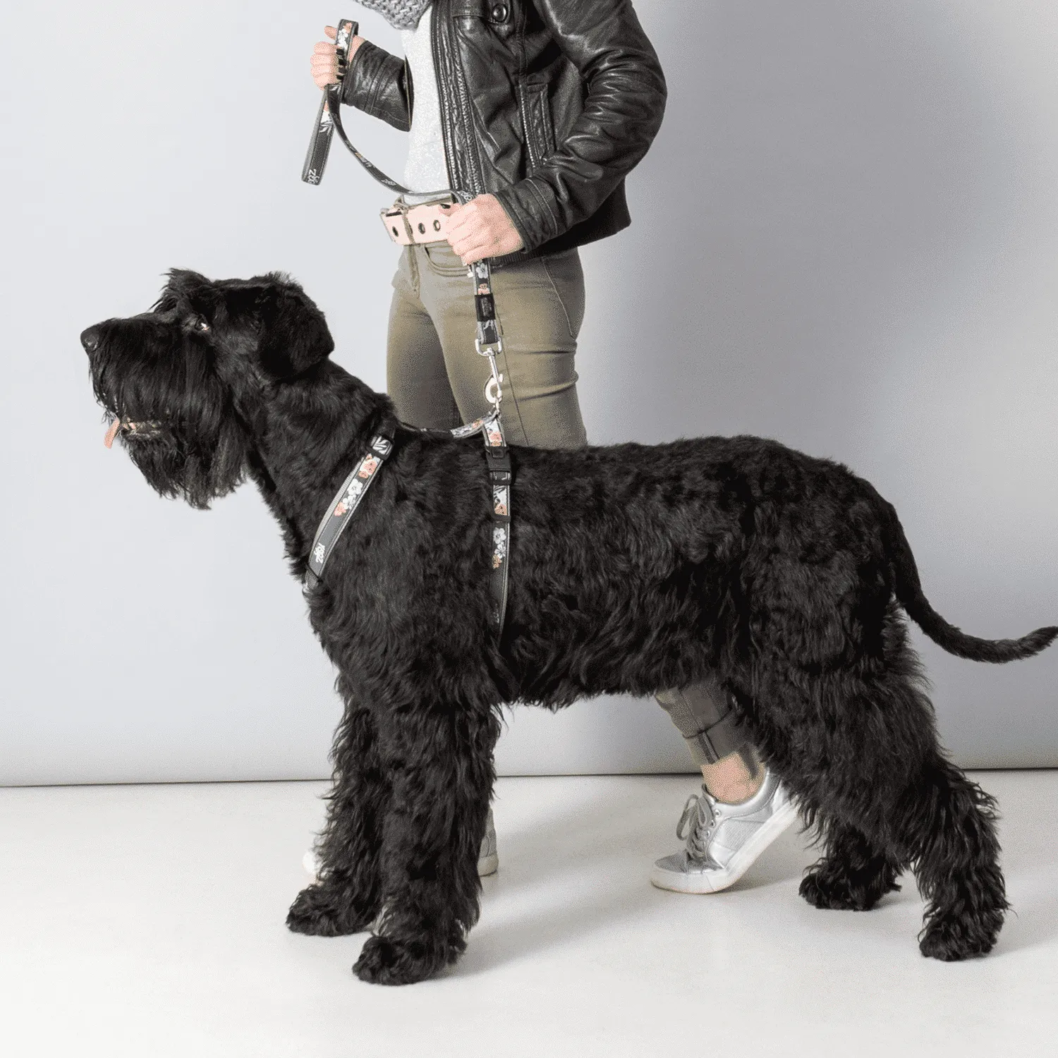 Rogz Fancy Dress Classic hundesnor mønstret