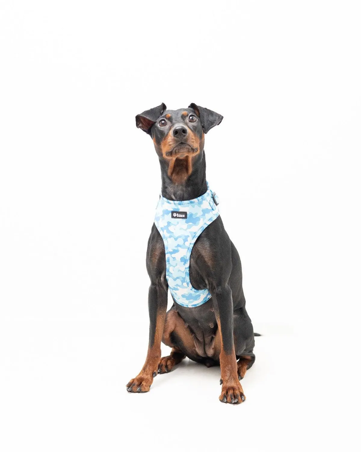 Tazz Blue Camo hundesele justerbar