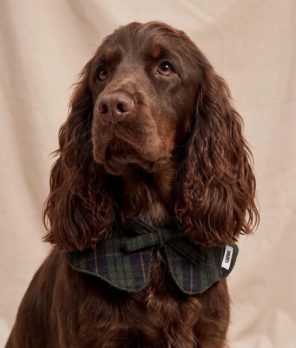 Cafide Lola Tartan Green hundebandana M bomuld