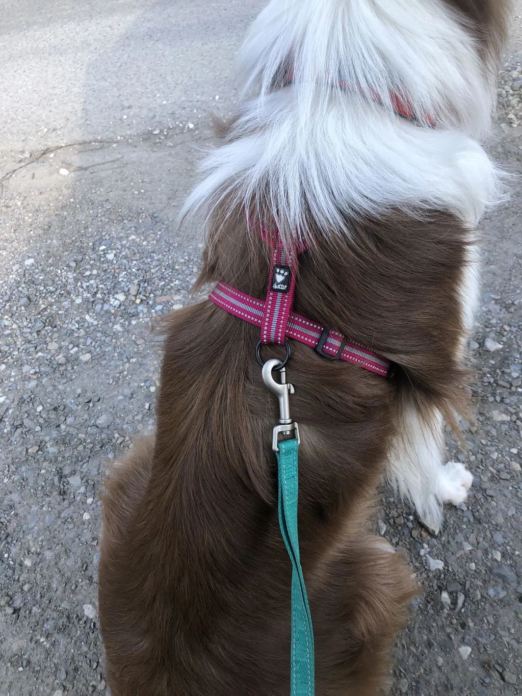 Hurtta Casual hundesnor 180 cm refleks