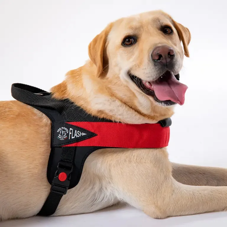 Tre Ponti Flash hundesele stor polstret