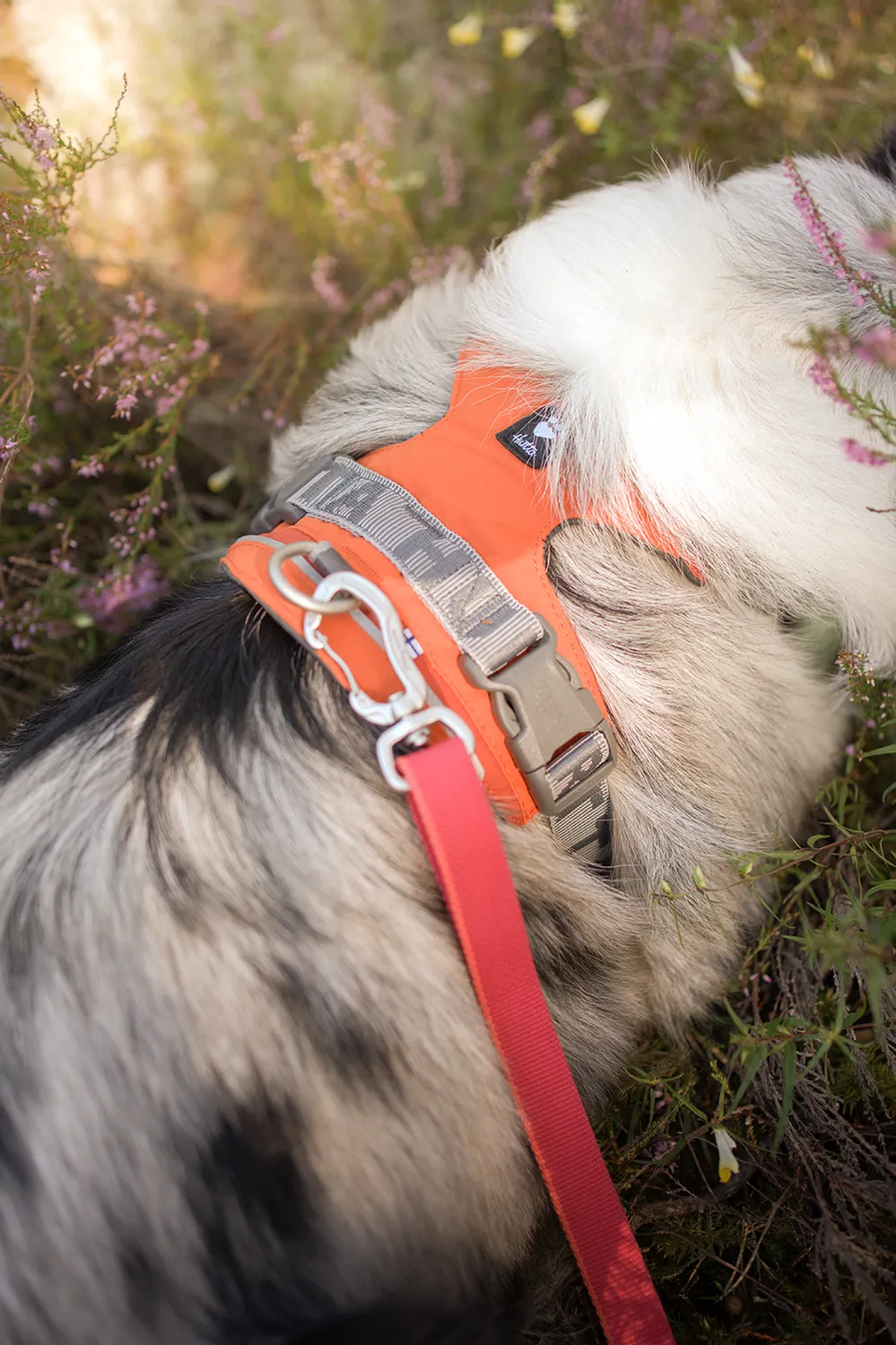 Hurtta Multilong II hundesnor blackberry 100-300