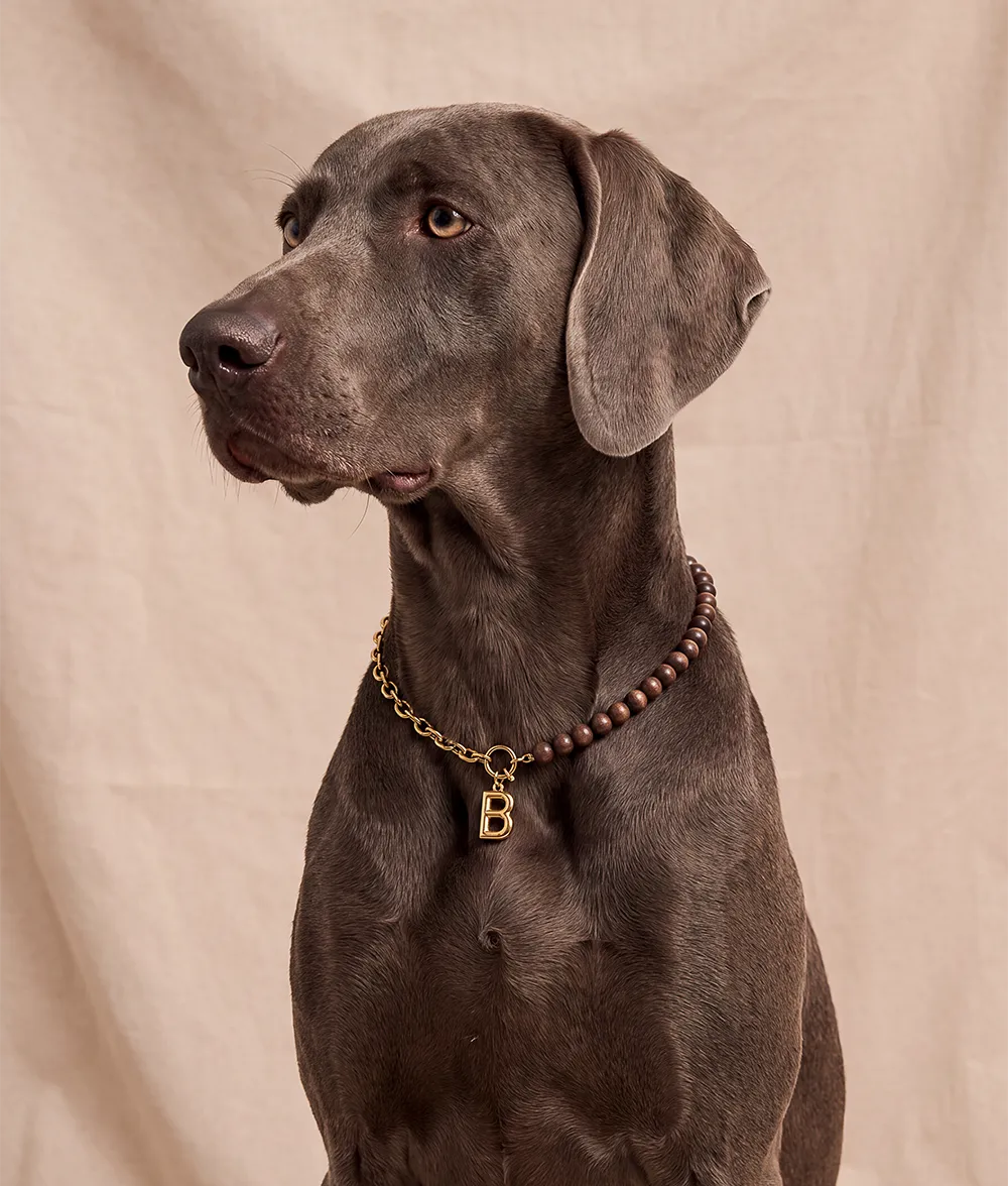 Cafide Sira hundehalsbånd guld træ bogstav