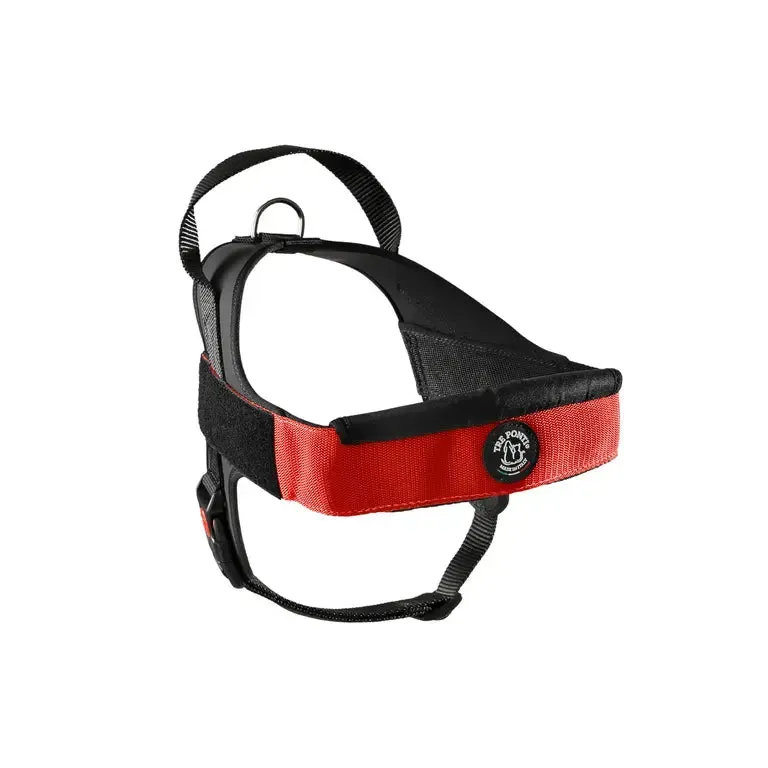 Tre Ponti Flash Velcro hundesele stor hund sort