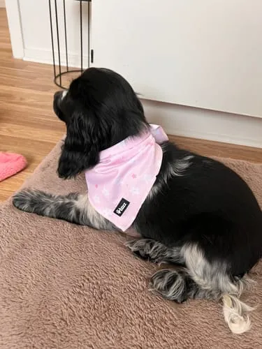 Tazz Everglow bandana hvid med hjerter