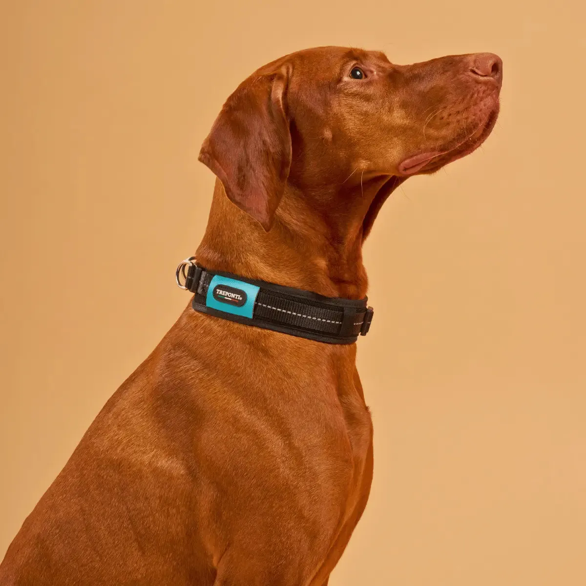 Tre Ponti Will hundehalsbånd Arctic Blue polstret