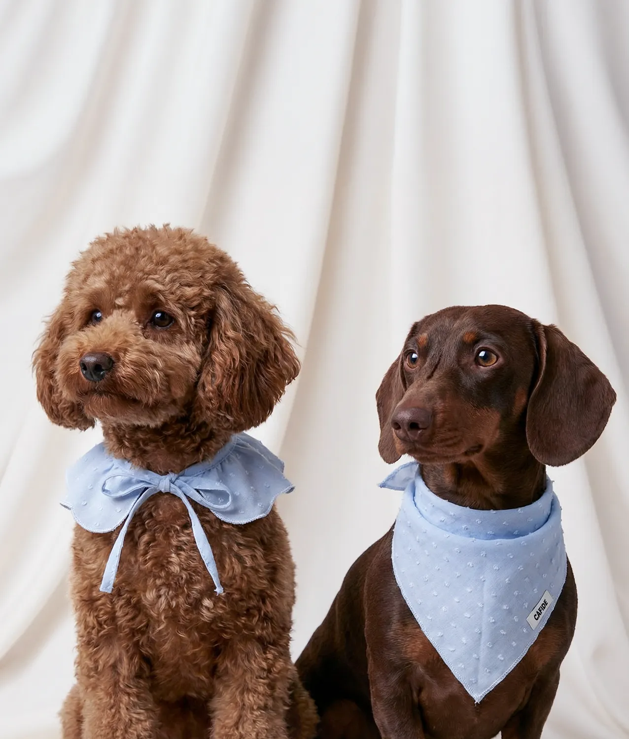 Cafide Lola bandana blå plumeti