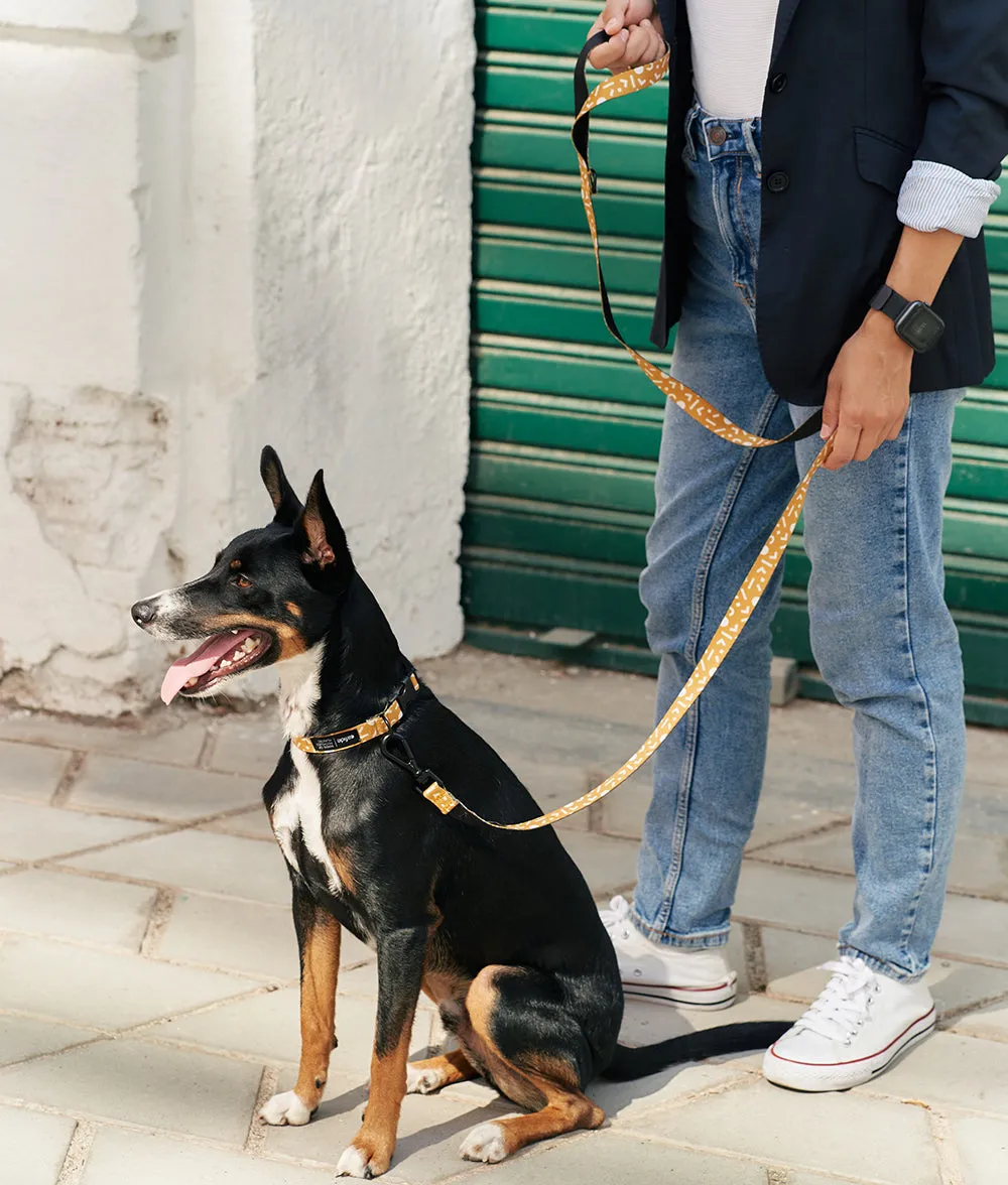 Cafide Juno Memphis Mustard hundesnor 1,2 m sennep mønster