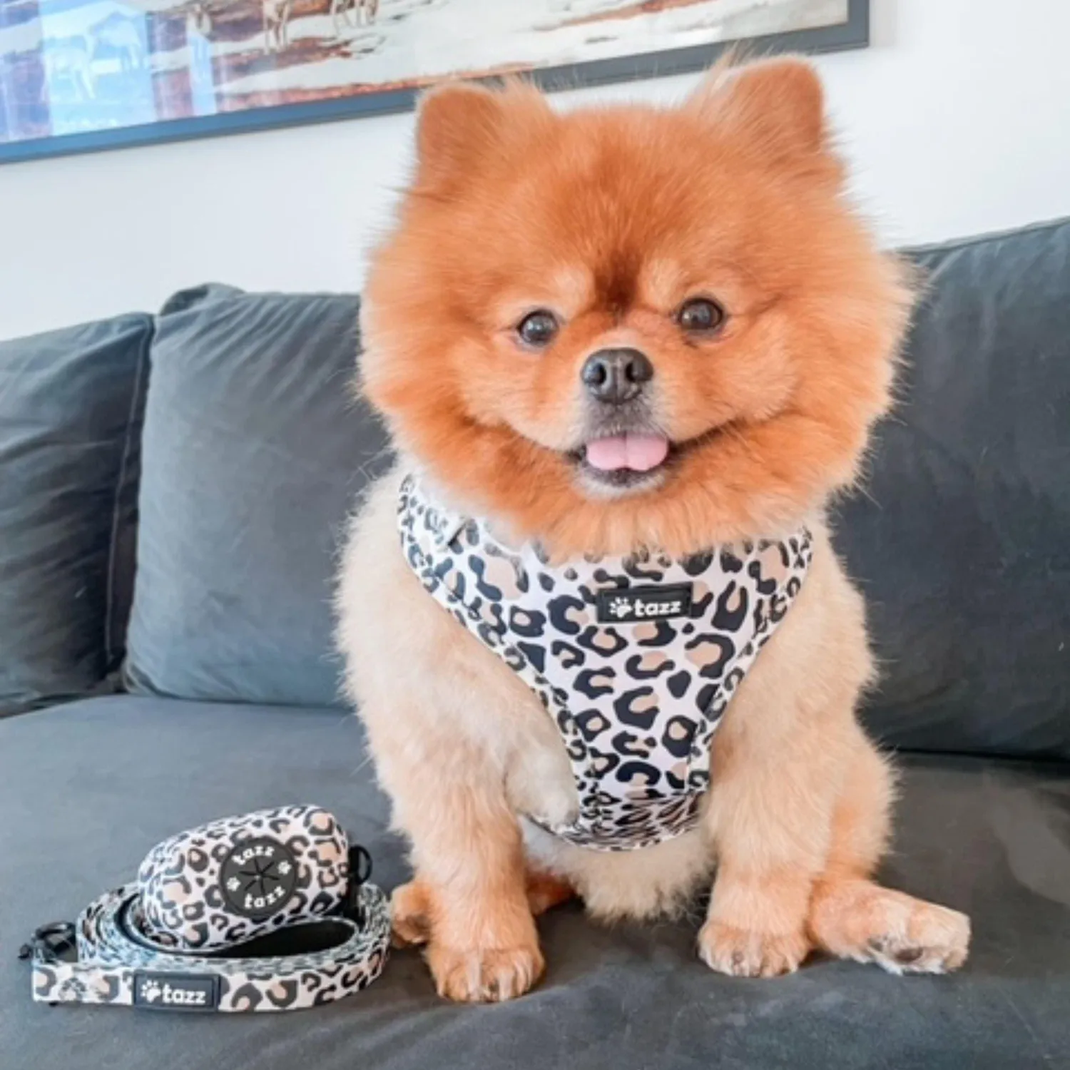 Tazz Just Leo hundesele beige leo