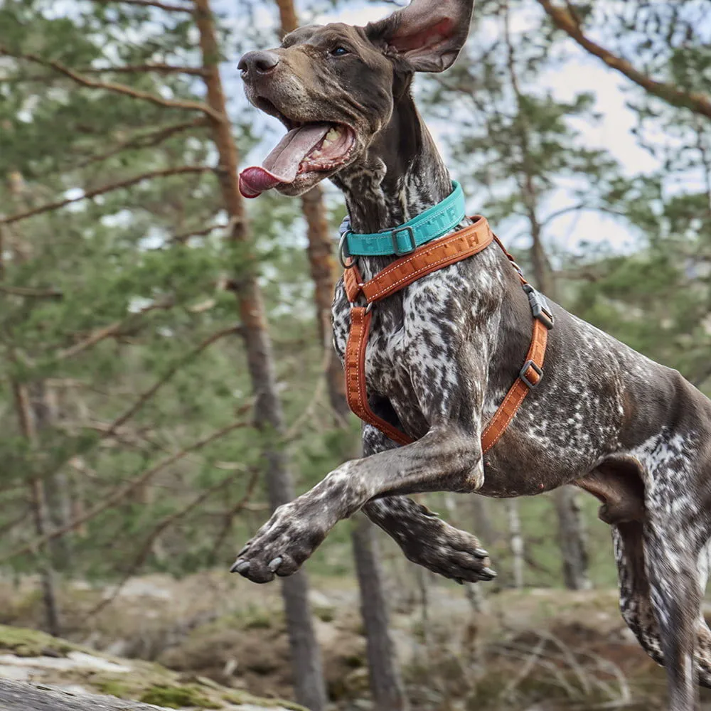 Hurtta Casual Y-Harness hundesele Raven 60-70 vandafvisende