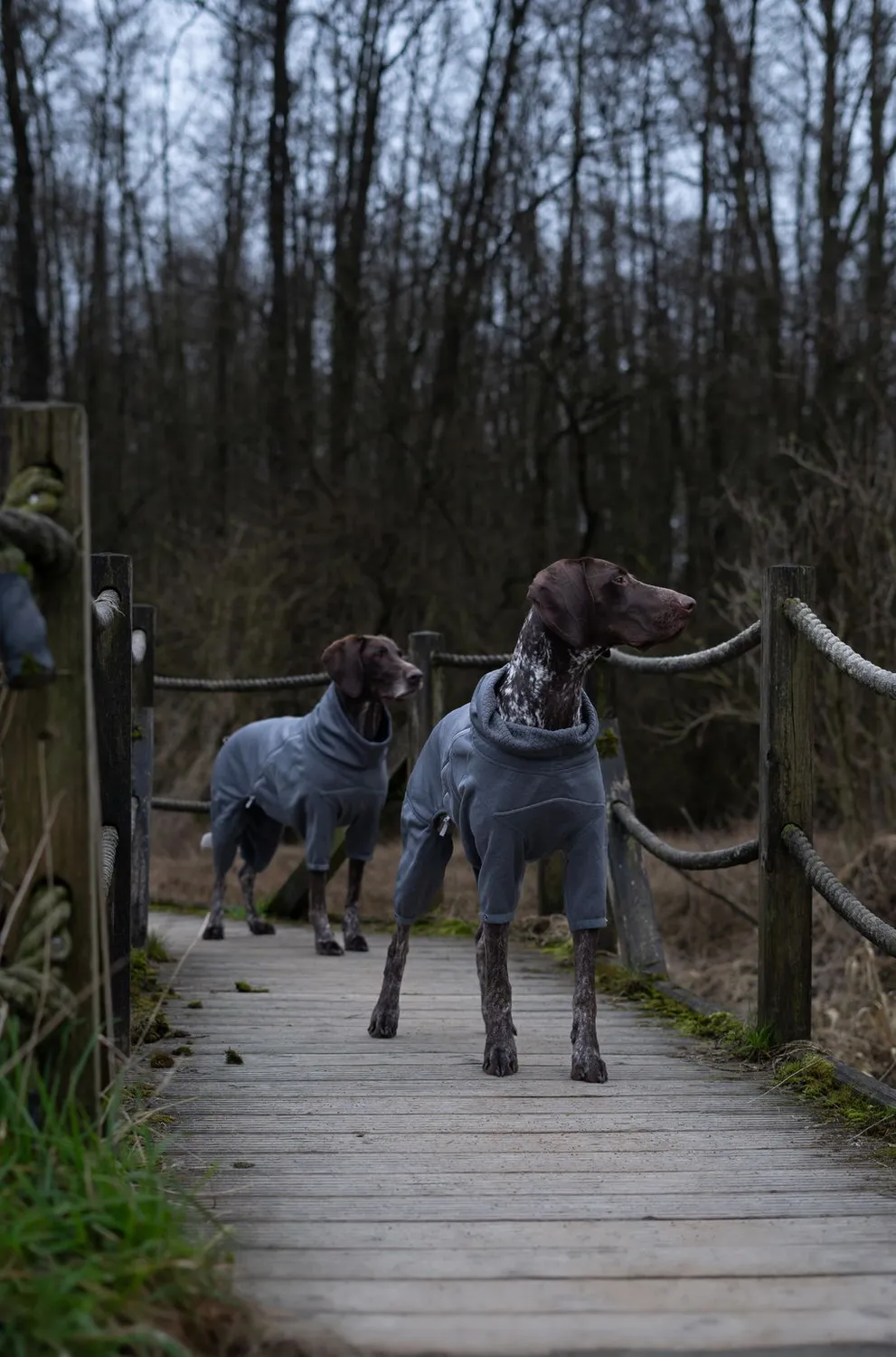 Hurtta Midlayer Overall hundedragt blackberry varm