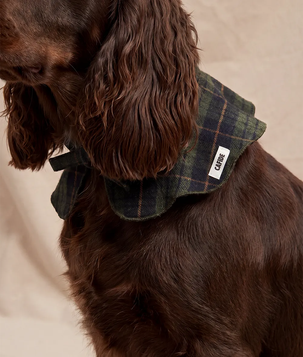 Cafide Lola Tartan Green hundebandana M bomuld
