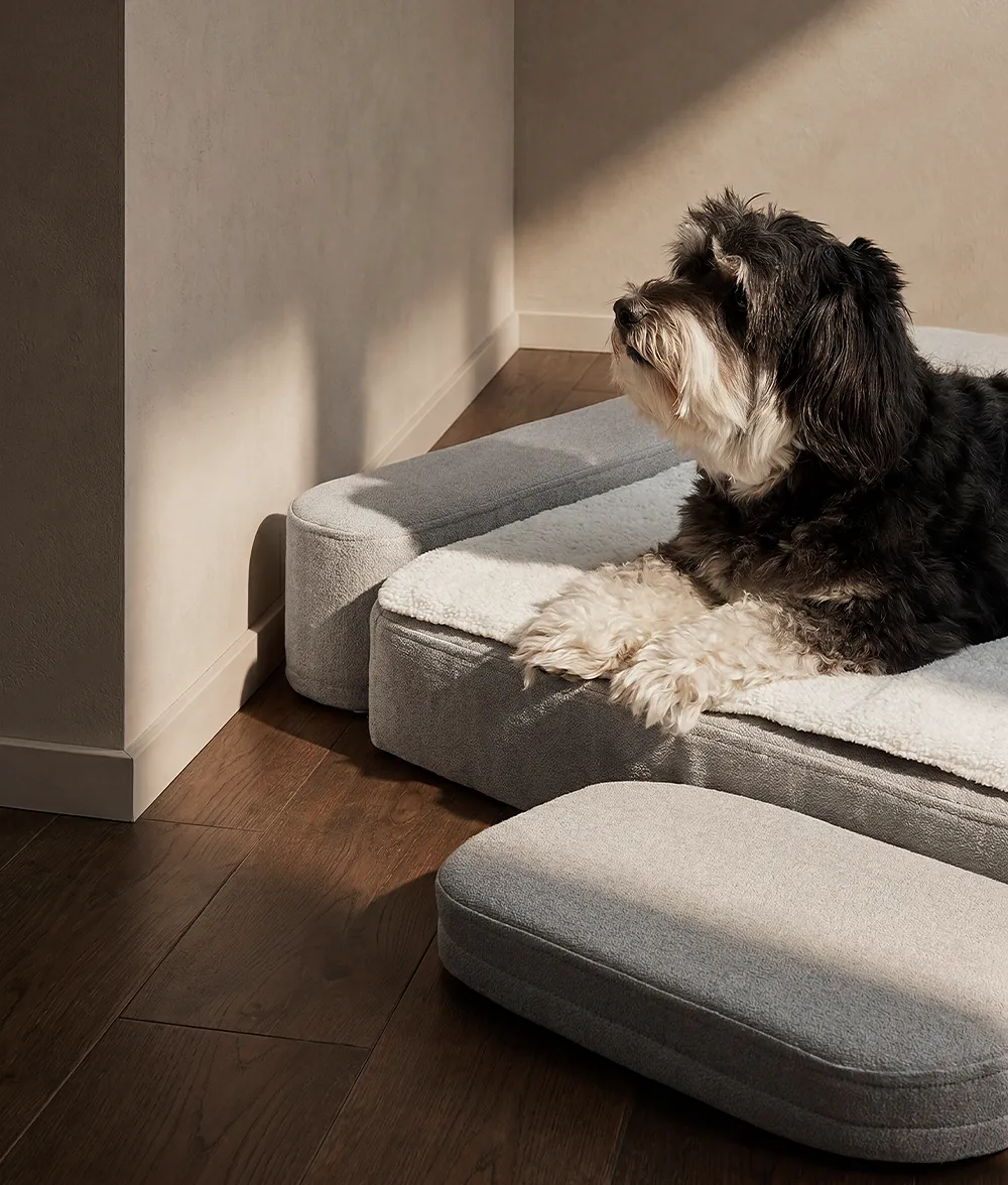 Cafide Soma ortopædisk hundeseng memory foam