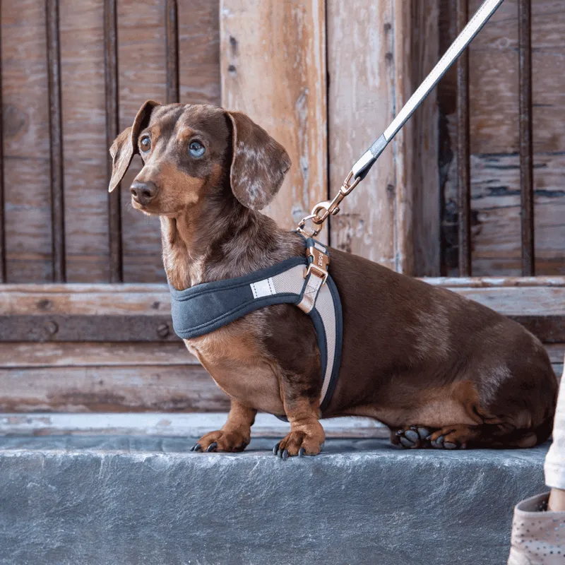 Rogz Urban Fast Fit hundesele justerbar